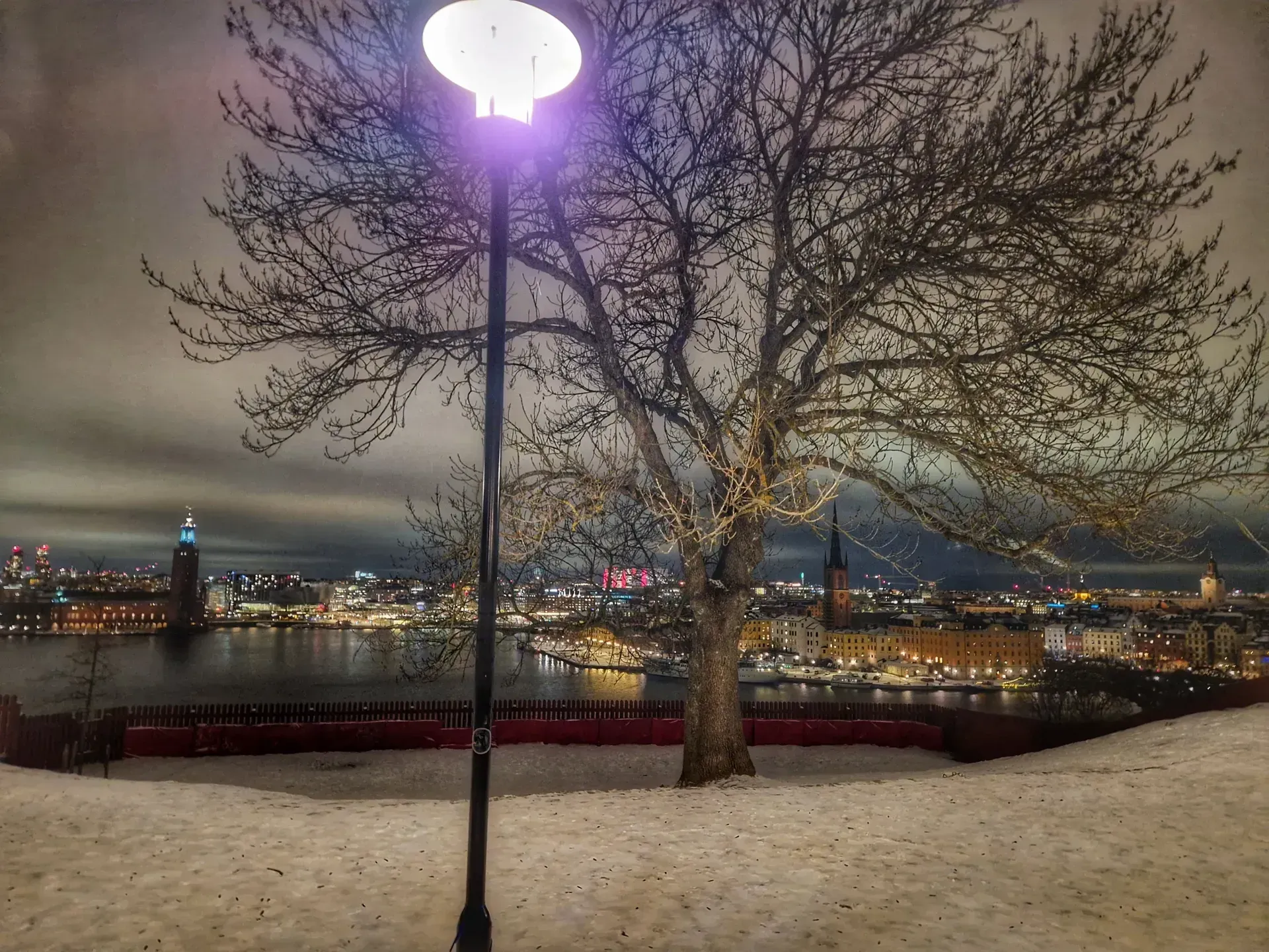 Vintervy från Söders höjder: Träd, lampa och stadsljus. Snö på marken