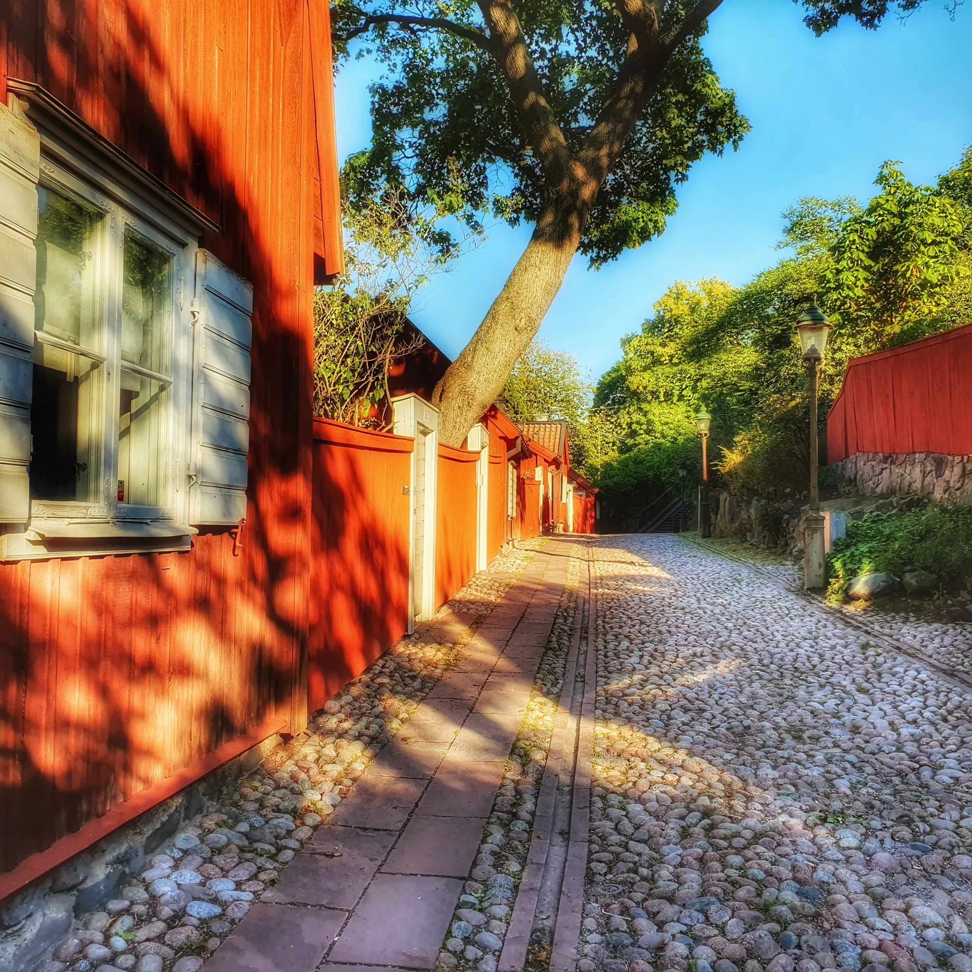 Gata med kullersten och röda trähus, en trädgren sträcker sig över ett hus