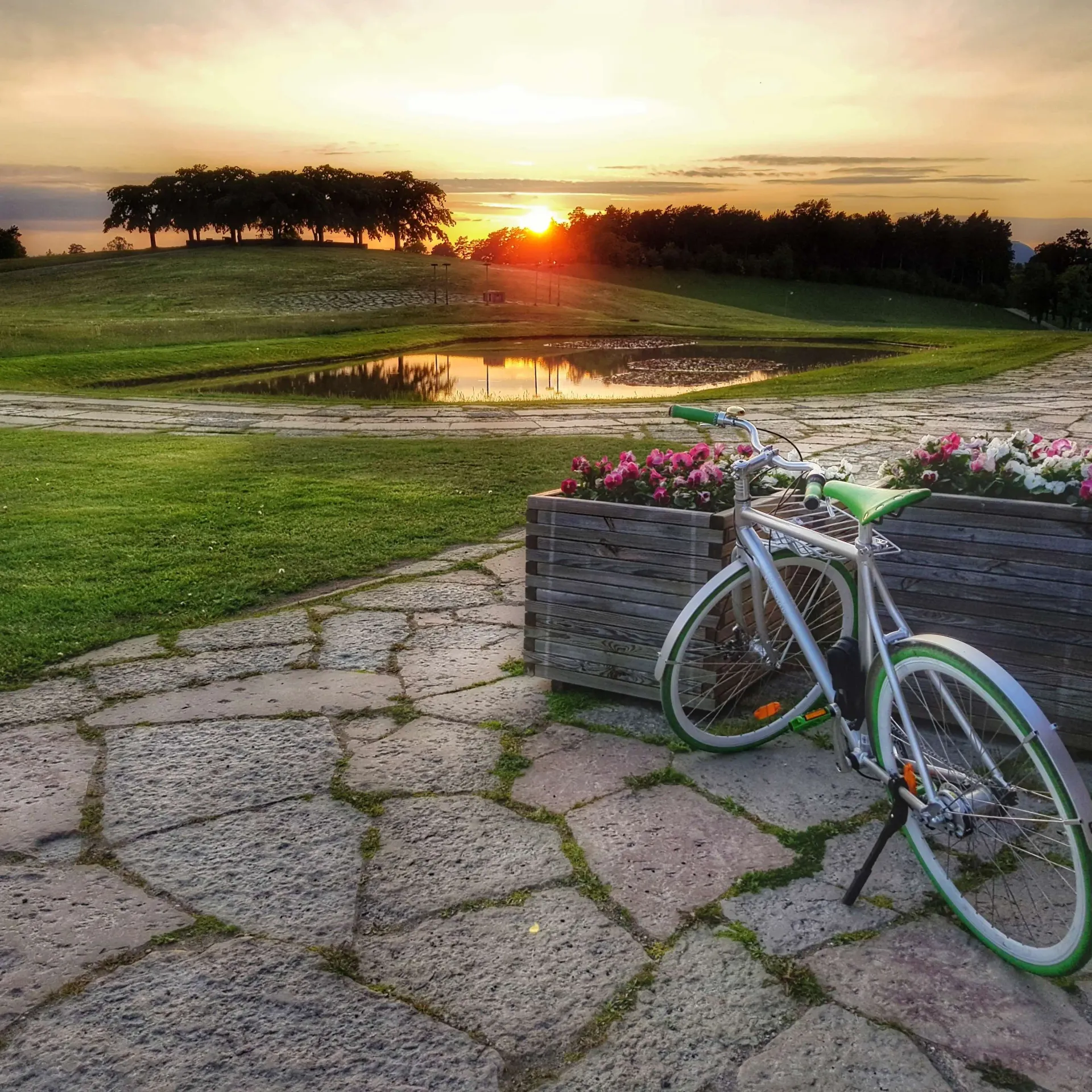 Silverfärgad cykel parkerad vid blomlåda, kullersten. Solnedgång vid damm och träd i bakgrunden
