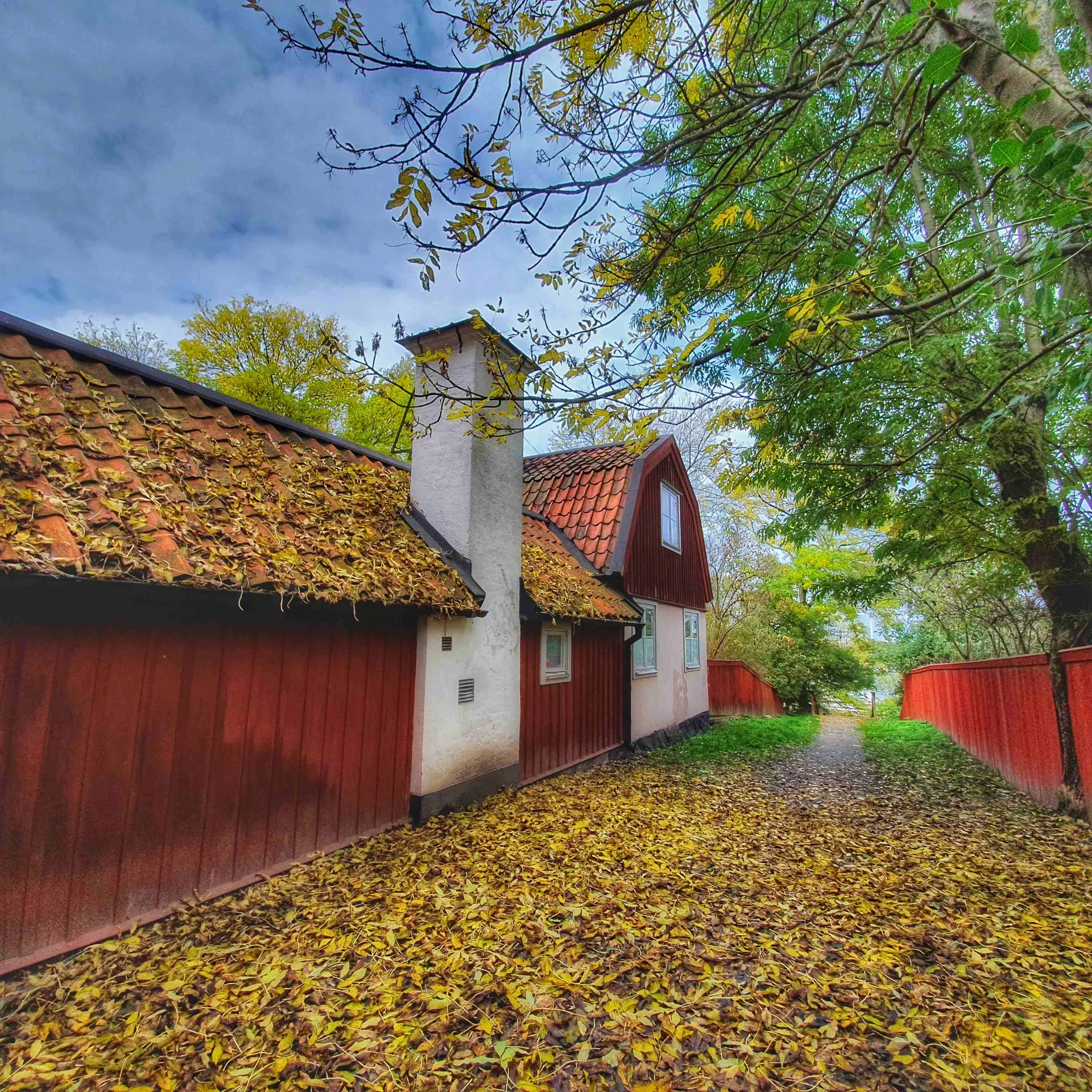 Rött hus med tegeltak och vit skorsten, löv på marken och taket