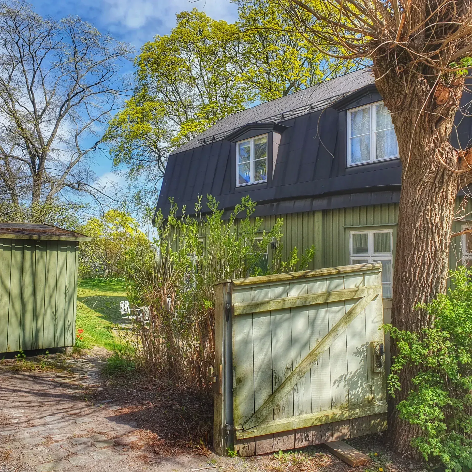 Grön trädgård med litet hus, grind och träd. Blå himmel och ljus