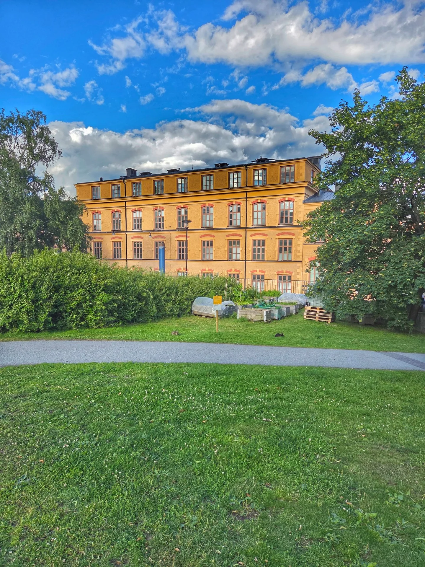 Gul byggnad med många fönster bakom gräsyta, buskar och odlingslådor. Blå himmel med moln