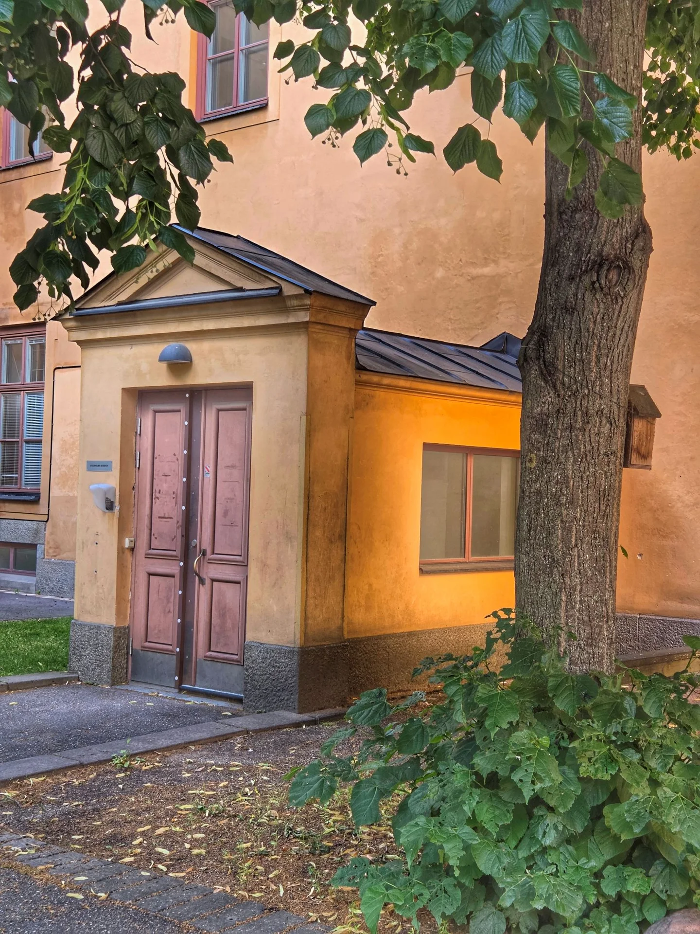 Gulputsad byggnad med brun entrédörr och grönskande träd, solbelyst vägg