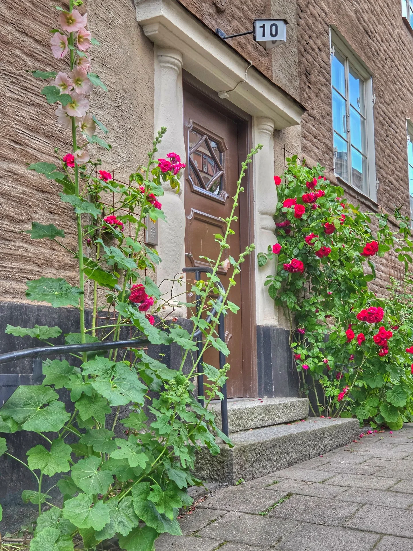 Entré till stenhus nummer 10 med blomstrande stockrosor och röda klätterrosor
