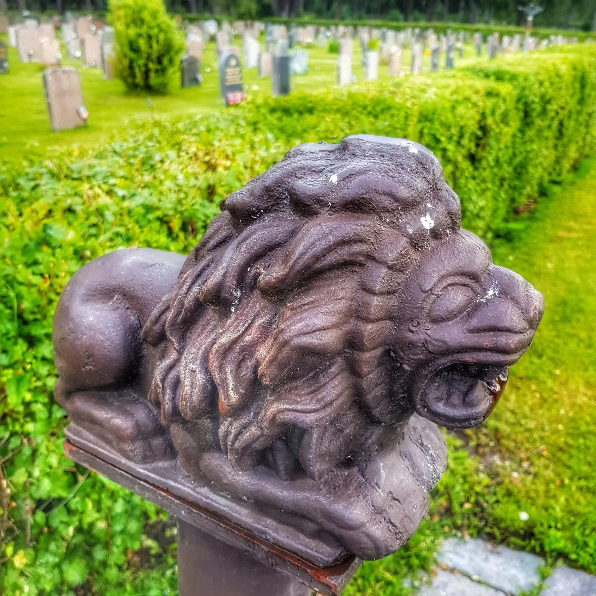 Skulptur av ett liggande lejon på en sockel, med gravstenar och grönska i bakgrunden