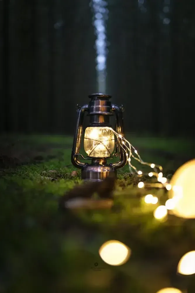 Lysande fotogenlampa på mossig mark i skog. Ljusslinga syns