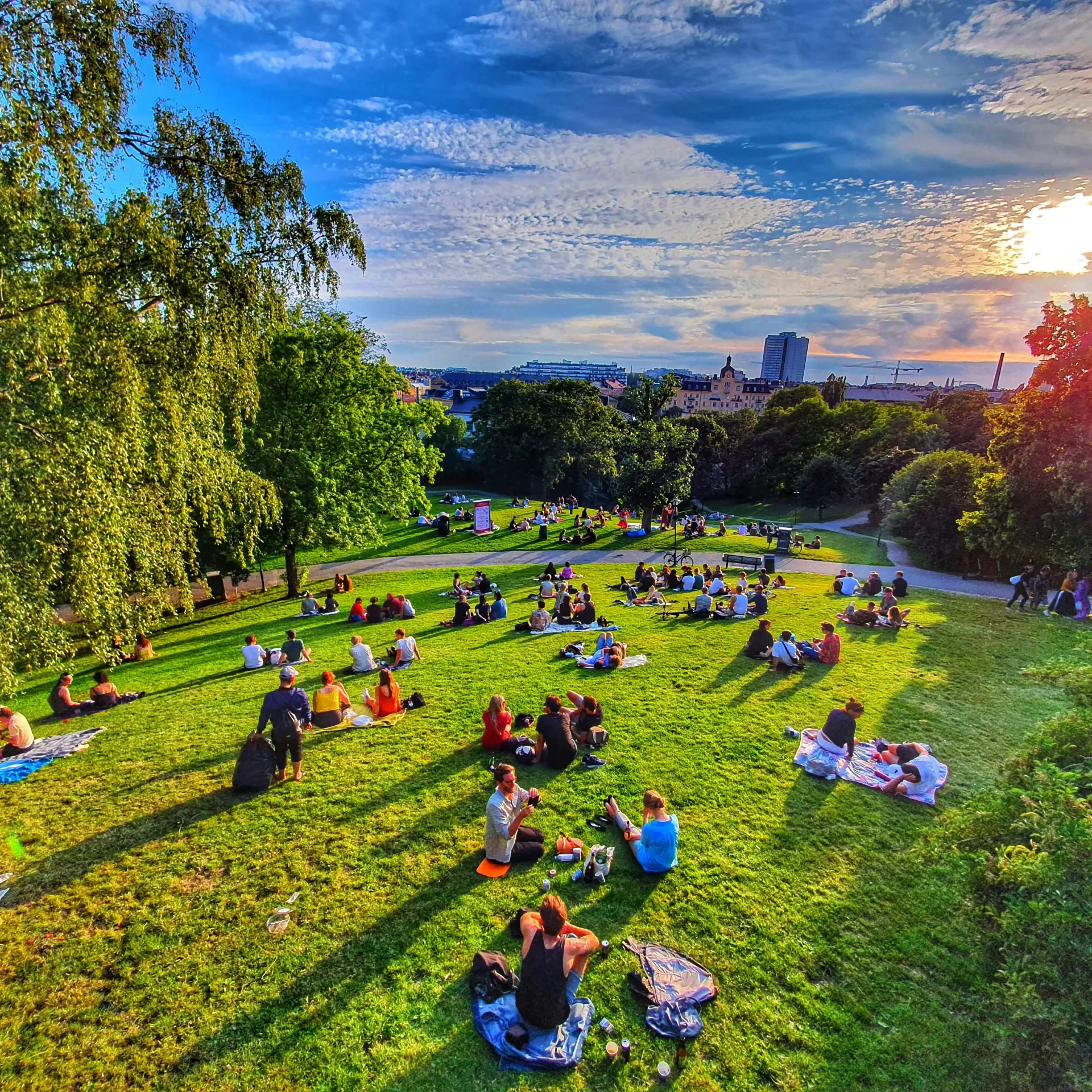 Parkvy ovanifrån med många människor på gräsmattan. Kvällssol och Stockholms silhuett i bakgrunden