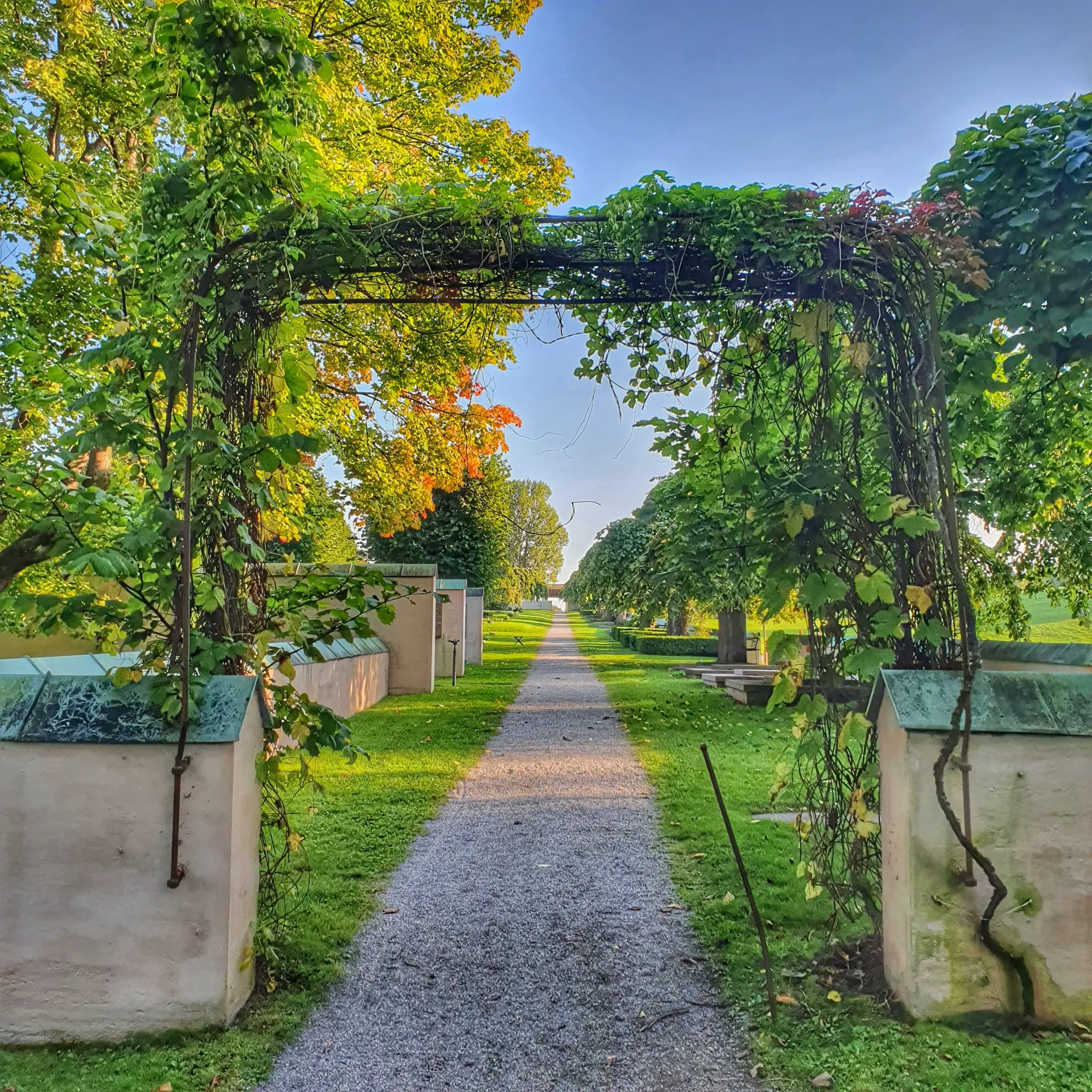 Grusgång genom park med grönska och monument. Vinrankor över en valvliknande konstruktion. Skogskyrkogården