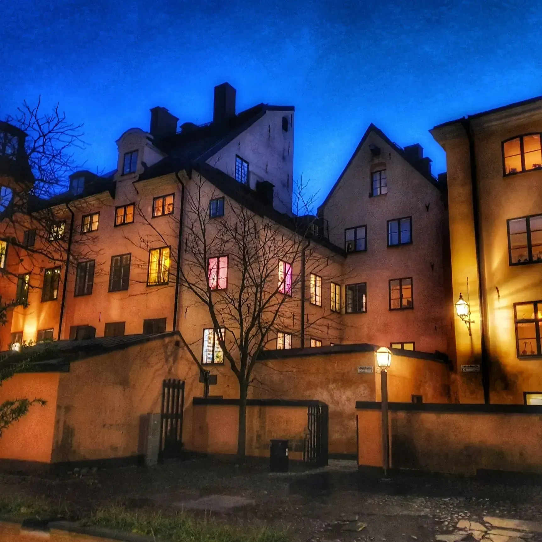 Gamla Stan-kvarter i mörker. Fasadbelysning och himmel kontrasterar. Träd utan löv