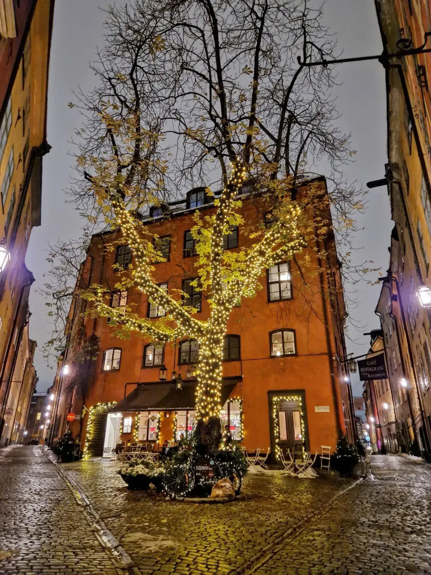 Gammal gata med gatsten. Träd och byggnad dekorerade med ljusslingor. Restaurang med uteservering