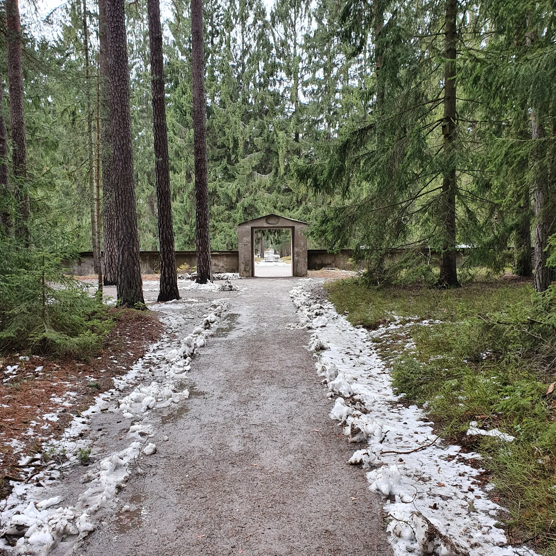 Grusgång genom skog med snörester. Port med mur i bakgrunden