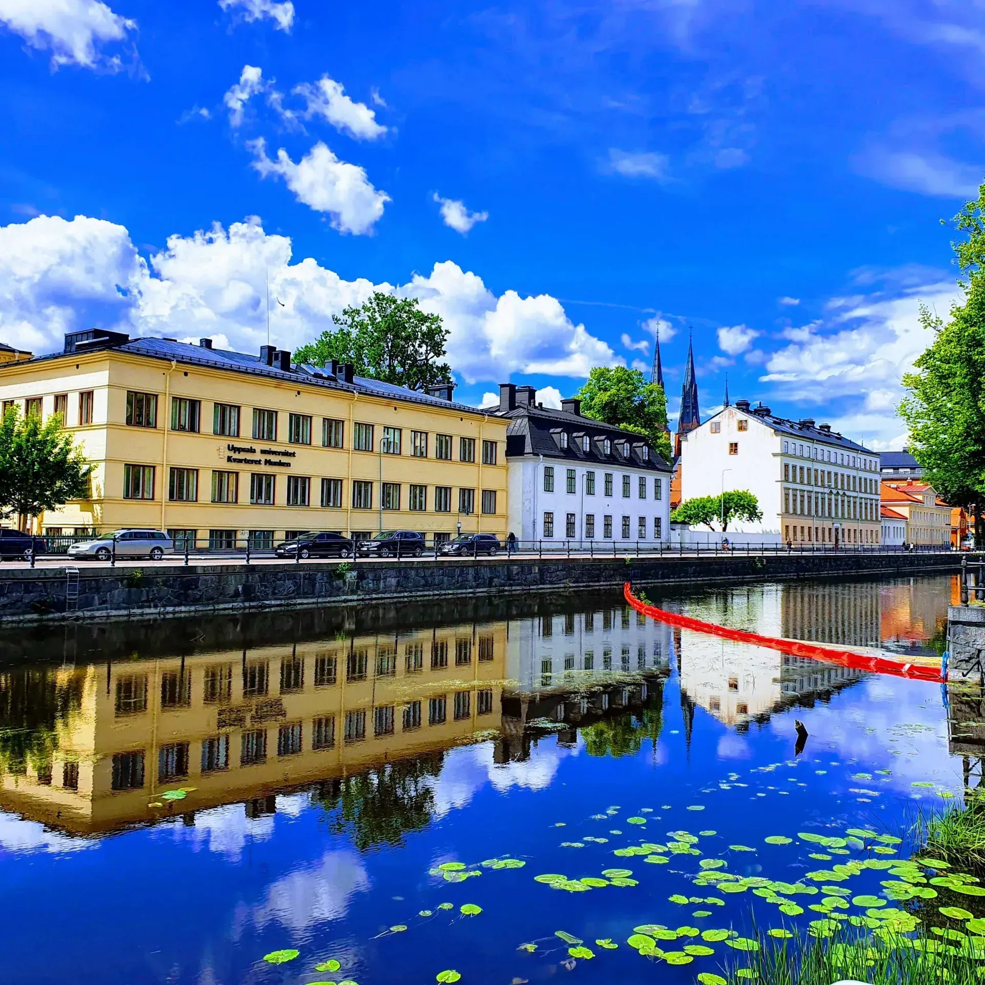 Uppsala: Byggnader längs vattnet speglas i Fyrisån. Näckrosor syns
