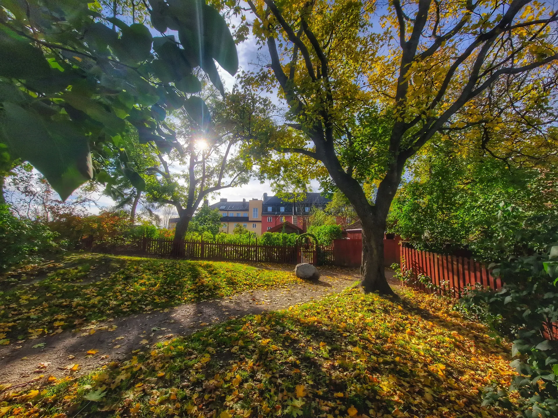 Lövfylld park under solig himmel, röda staket, gröna träd och hus i bakgrunden