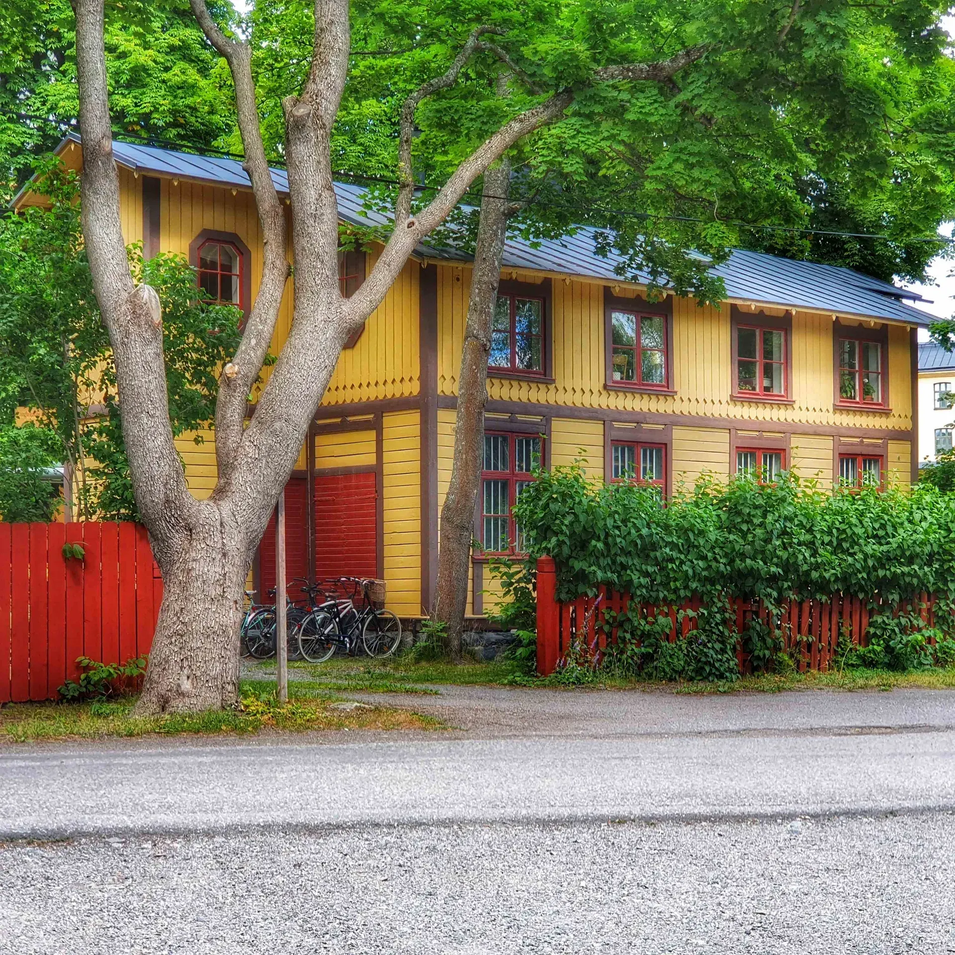 Tvåvåningshus med gul träpanel och röda fönster. Cyklar lutade mot fasaden, rött staket. Träd