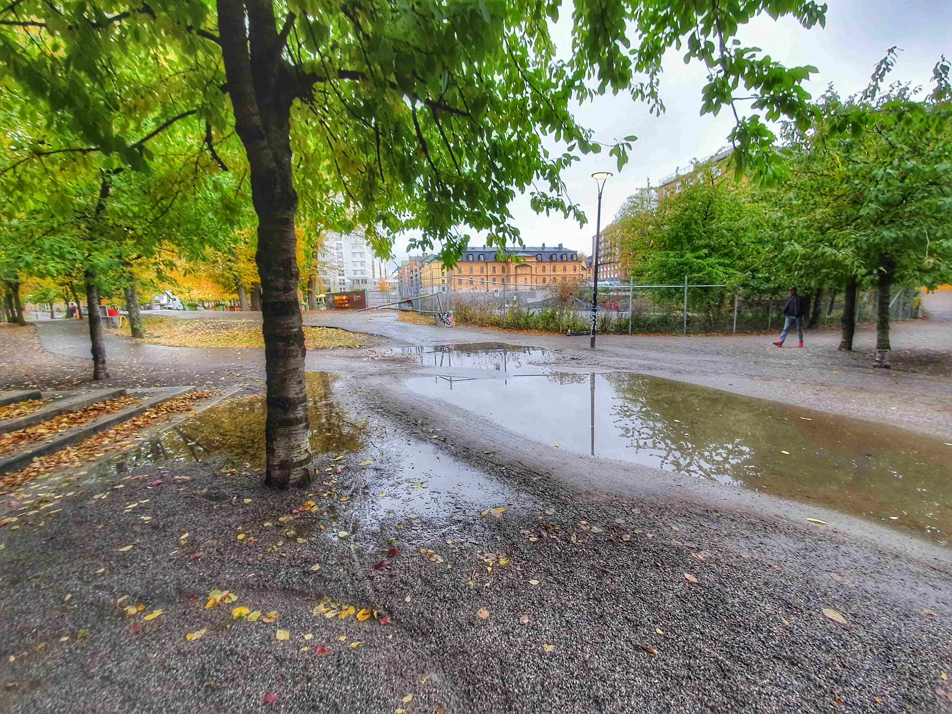 Våt grusgång med träd och vattenpölar. Byggnad i bakgrunden