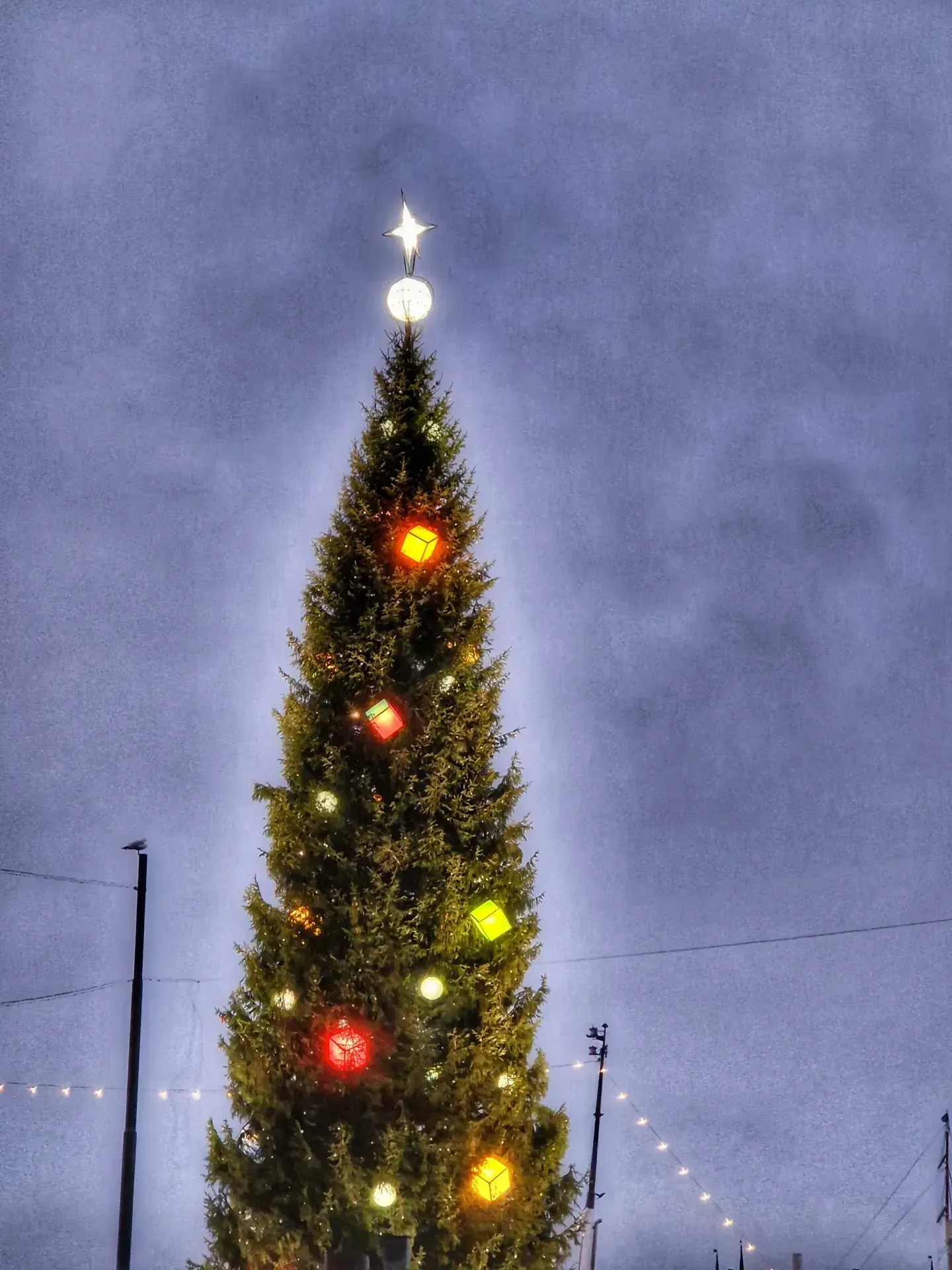 Julgran med stjärna, bollar och lysande paket mot grå himmel