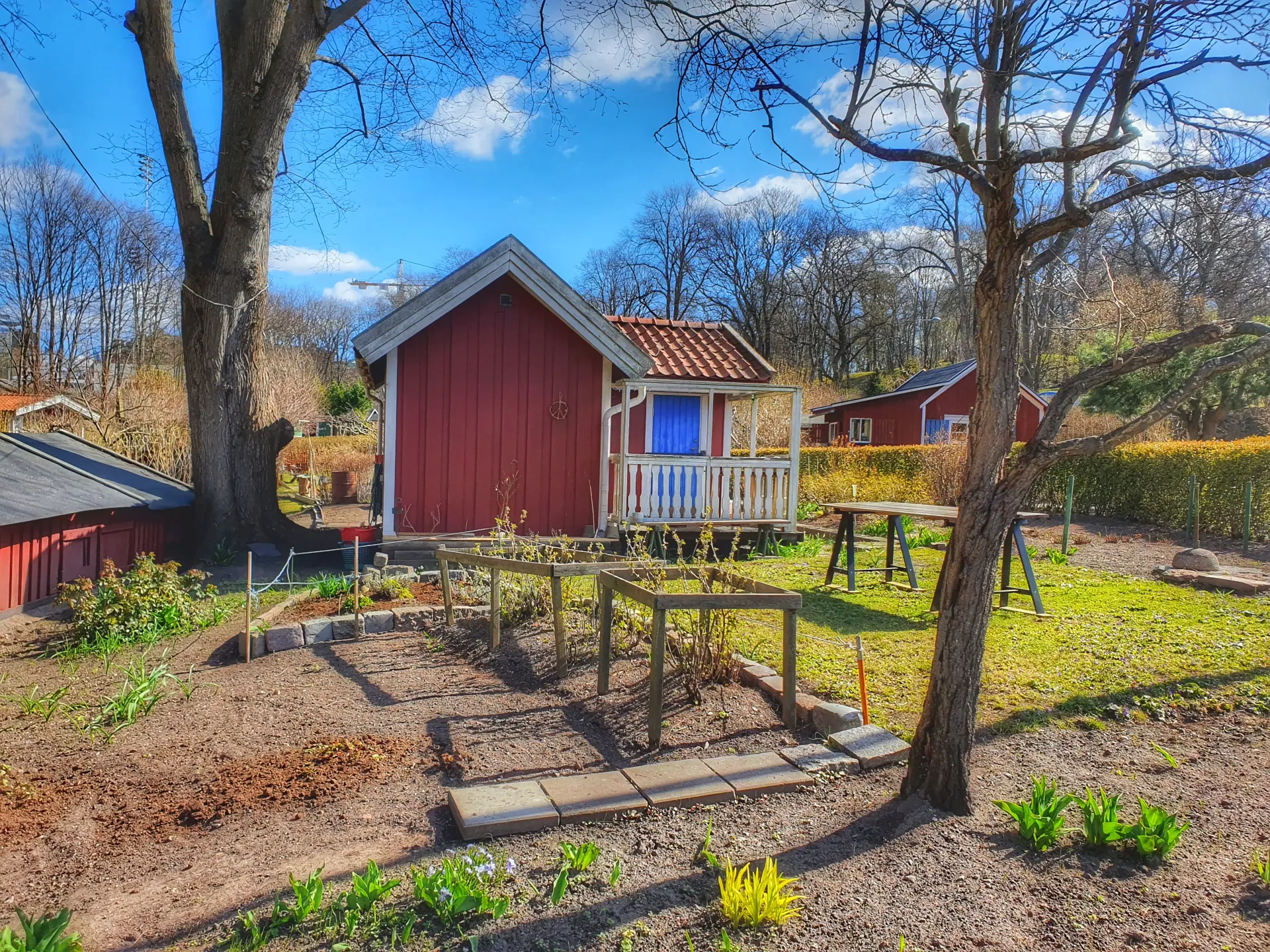 Röd stuga med blå dörr och veranda. Trädgård med rabatter och stenplattor. Träd. Blå himmel