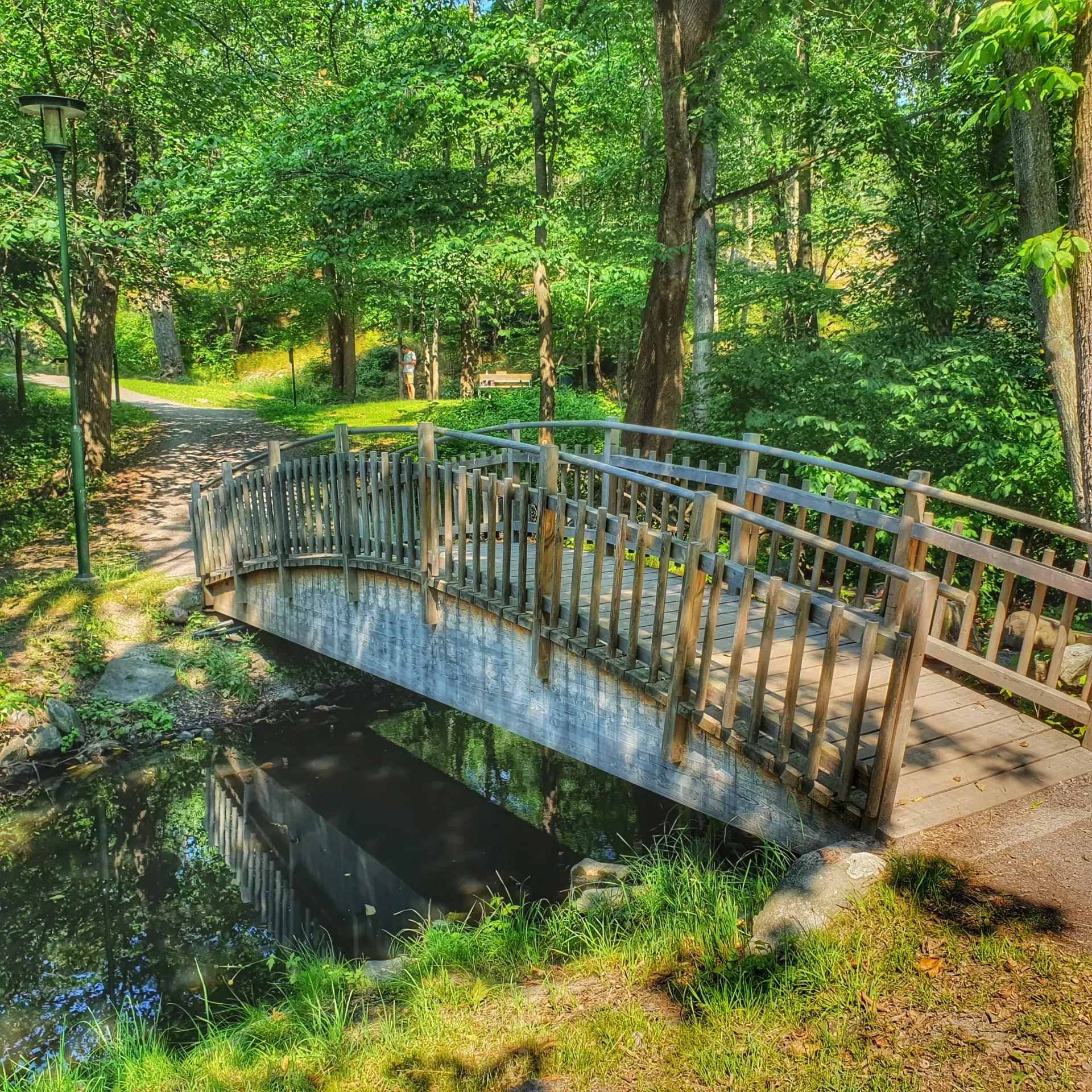Träbro över vatten i grön parkmiljö. Träd och gräs. Vattenreflektion
