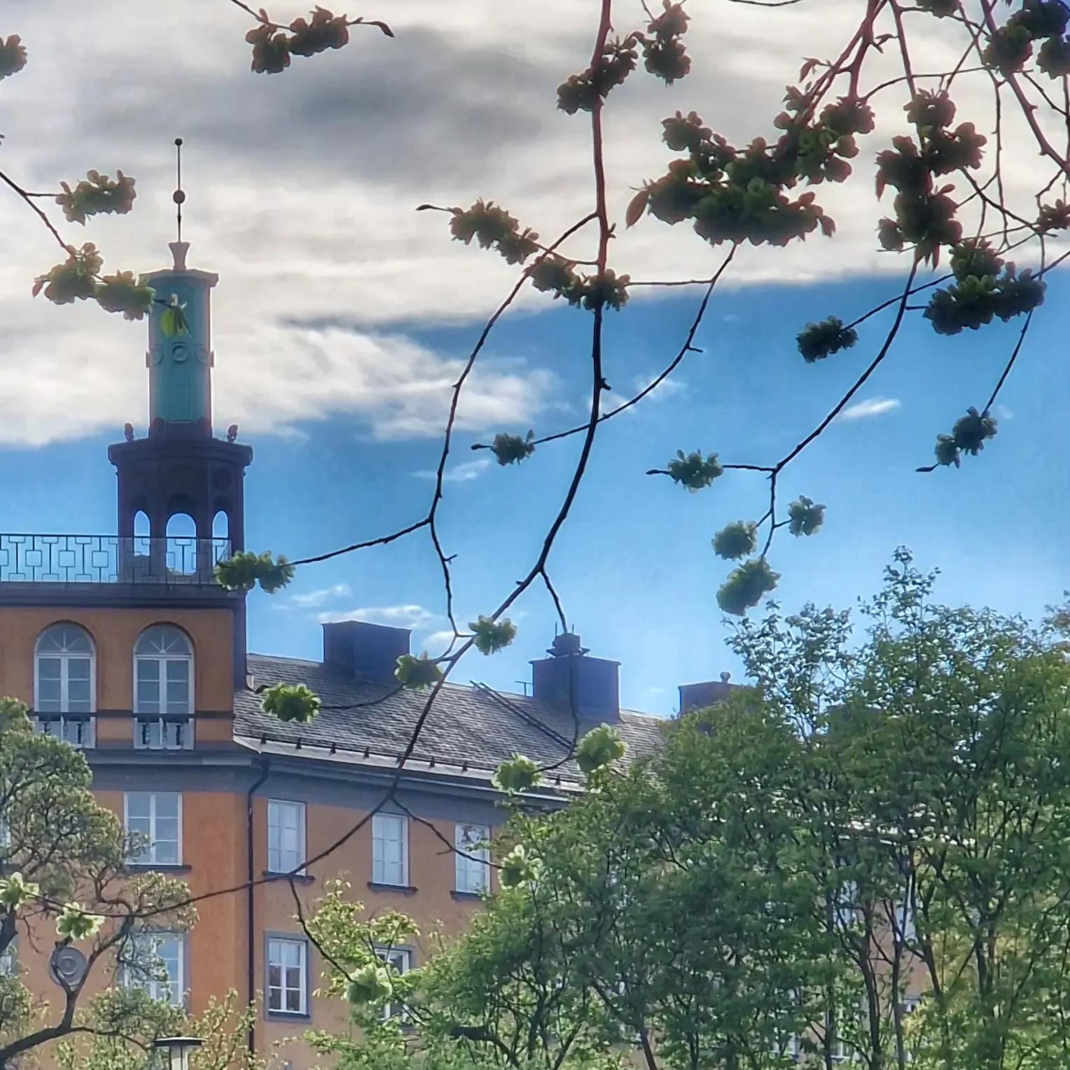 Hög byggnad med torn och utsmyckning, syns genom grenar med ljusgröna blad. Blå himmel med moln i bakgrunden