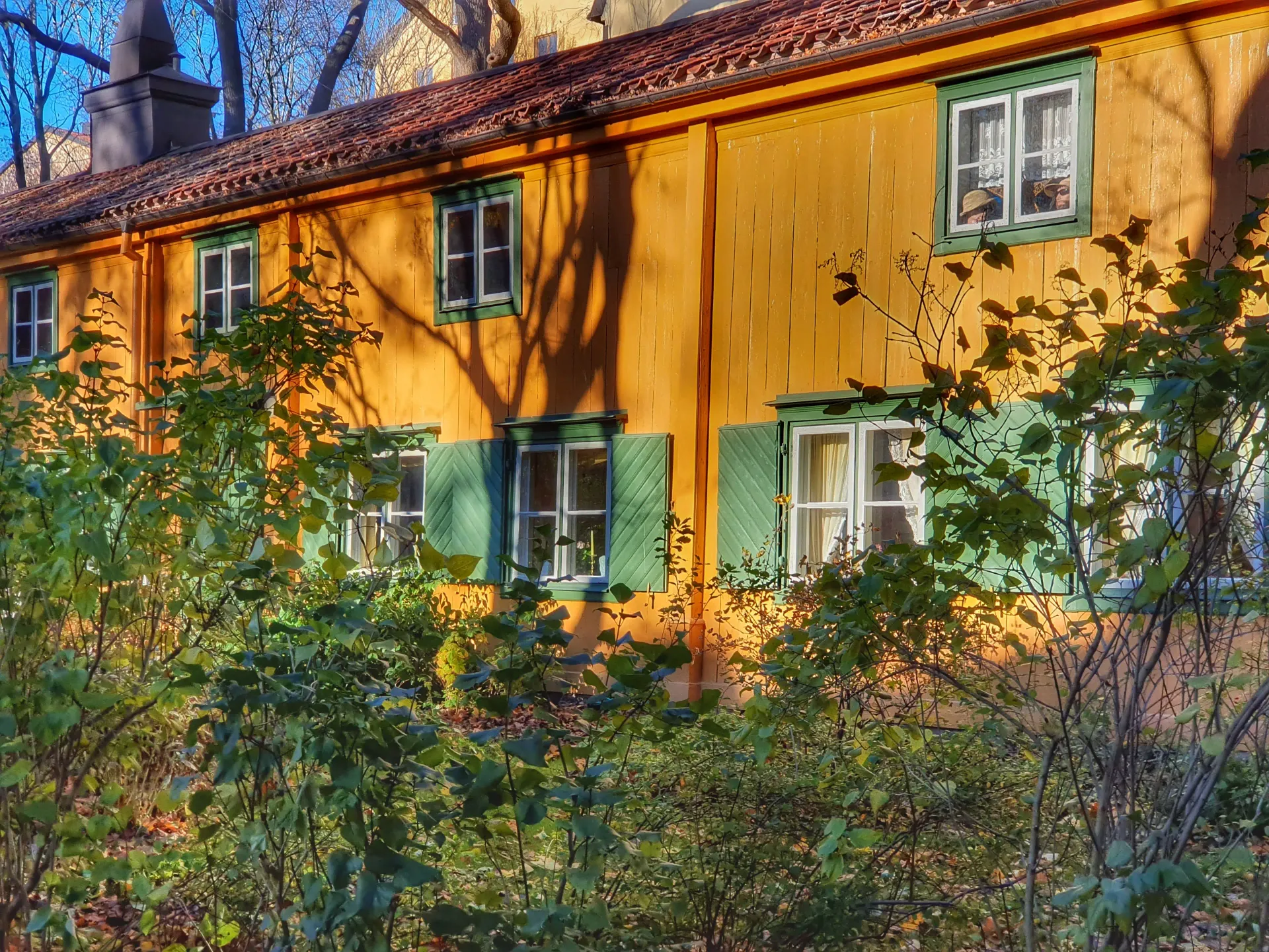 Gul träbyggnad med gröna fönsterluckor bakom buskar. Tegeltak