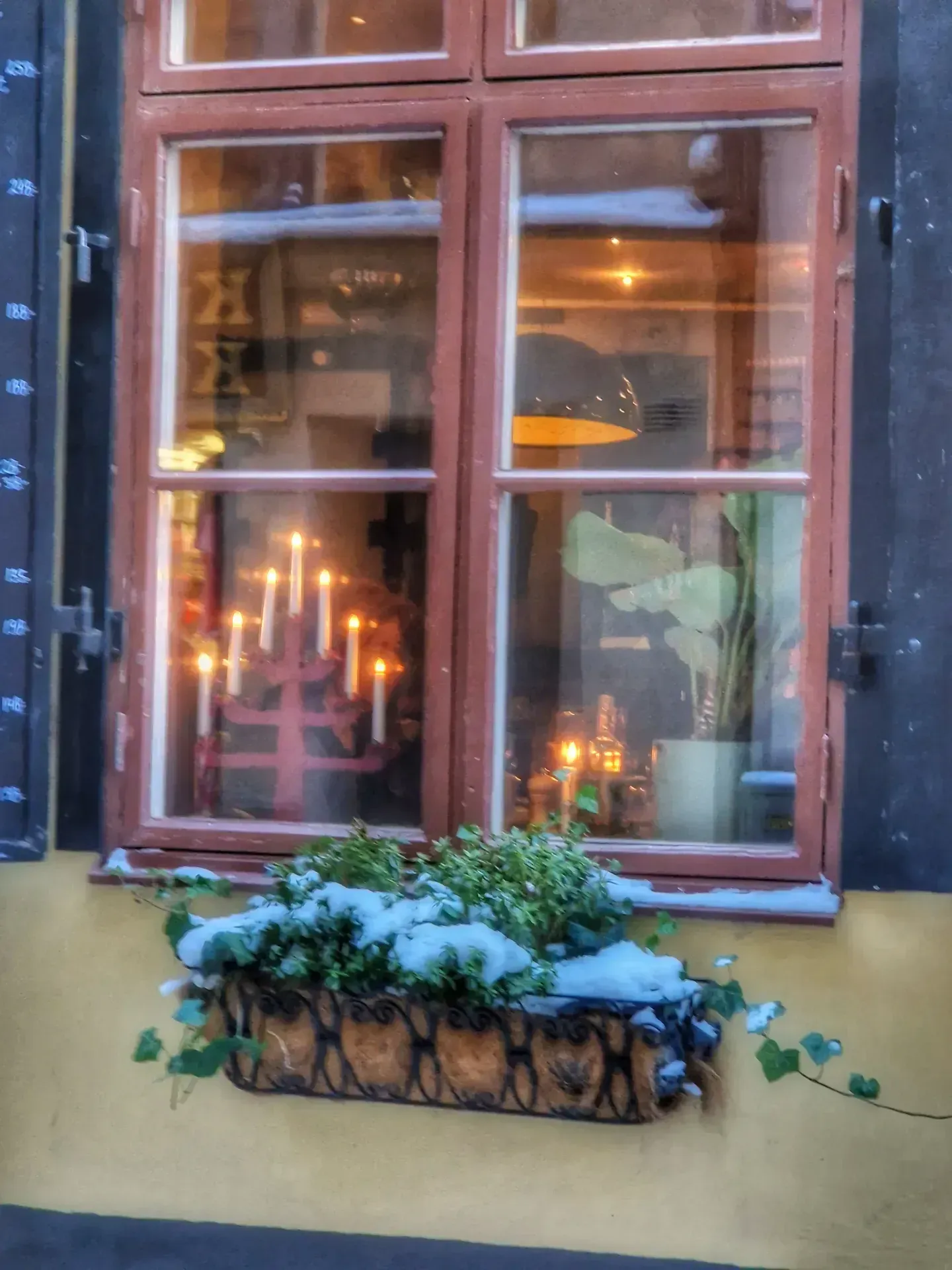 Fönster med blomlåda med snö. Inne syns ljusstake med tända ljus och lampa